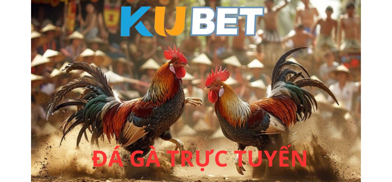 ZJ3979.NET – Đá Gà Trực Tuyến