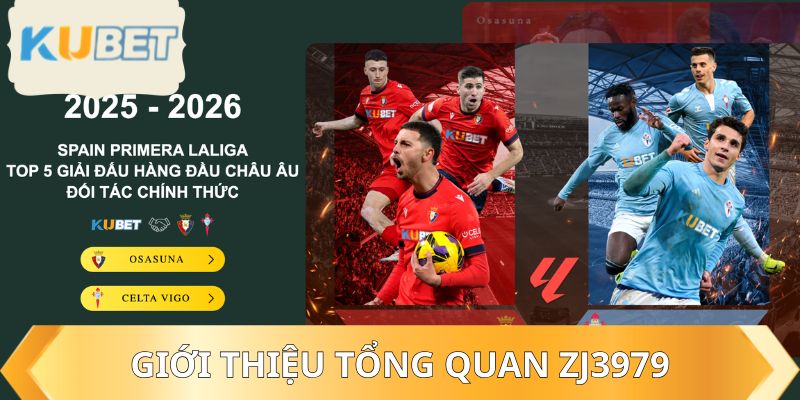 Giới thiệu tổng quan ZJ3979
